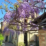 Casadesergio * Refrontolo