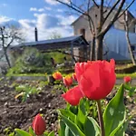 Casadesergio * Refrontolo