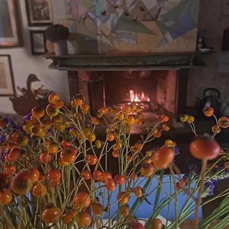 ファームステイ Casadesergio