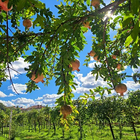 Casadesergio ファームステイ Refrontolo