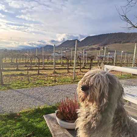 Casadesergio Refrontolo