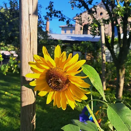 ファームステイ Casadesergio