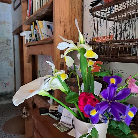 Casadesergio ファームステイ