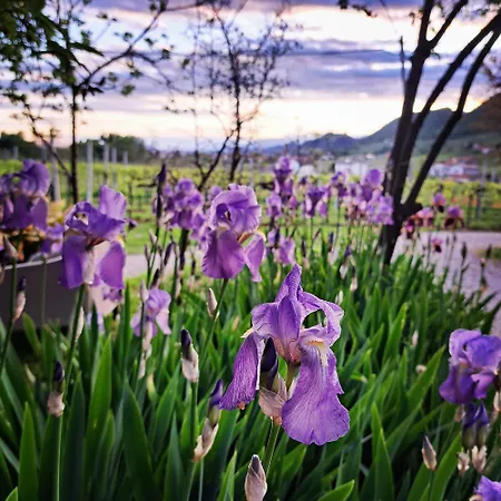 Çiftlik konaklama Casadesergio *