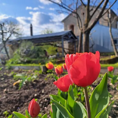 Casadesergio * Refrontolo