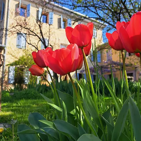 Gospodarstwo agroturystyczne Casadesergio *