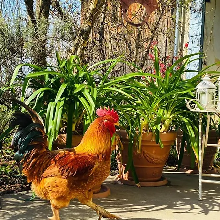 Casadesergio Gospodarstwo agroturystyczne