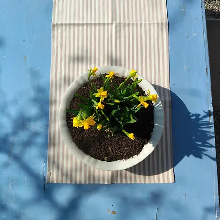 مزرعة للإقامة Casadesergio *