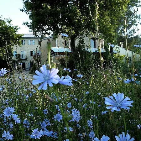 Casadesergio * Refrontolo