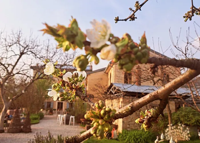 Casadesergio Bauernhof Refrontolo