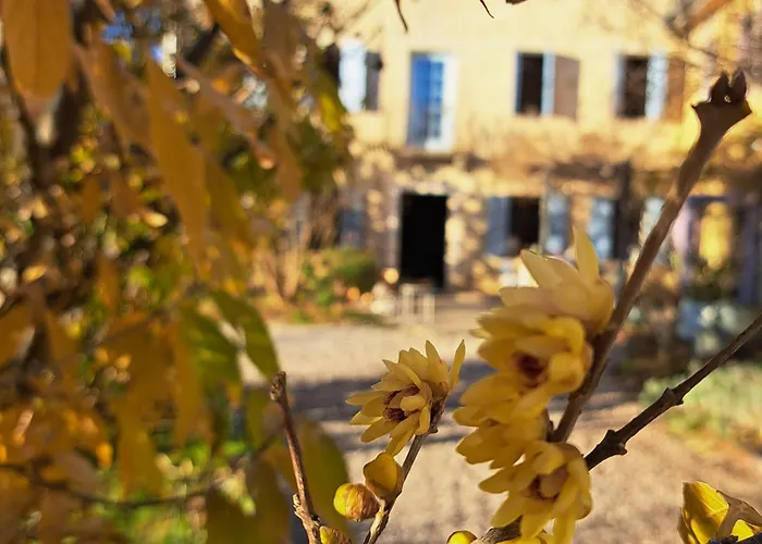 Casadesergio * Refrontolo