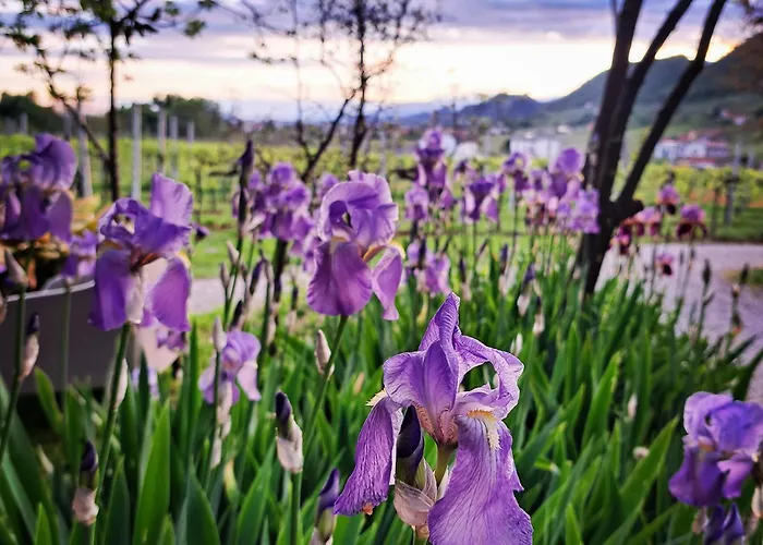 Bauernhof Casadesergio *