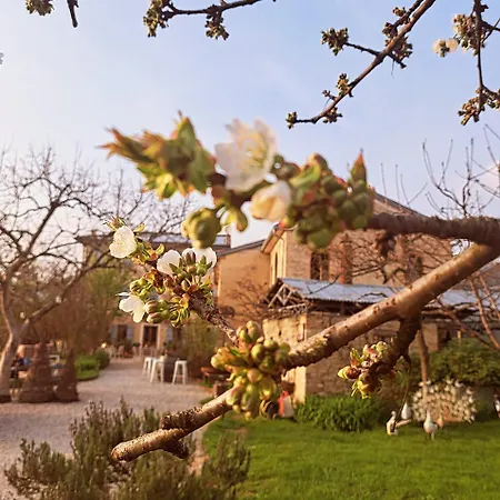 Casadesergio Agroturismo Refrontolo