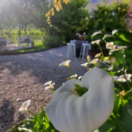 Casadesergio * Refrontolo