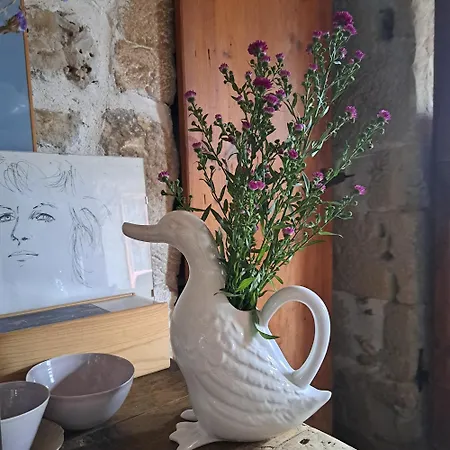 Alojamento de Turismo Rural Casadesergio