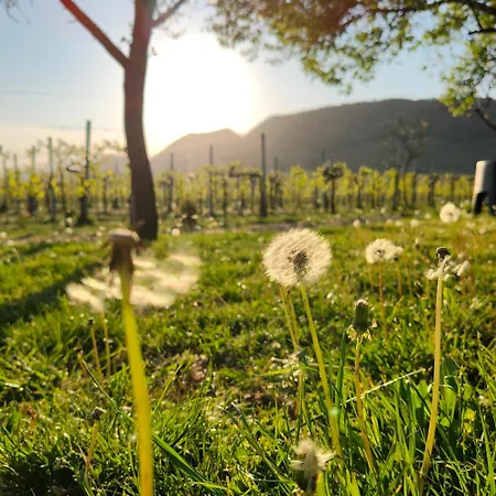 Casadesergio Bauernhof