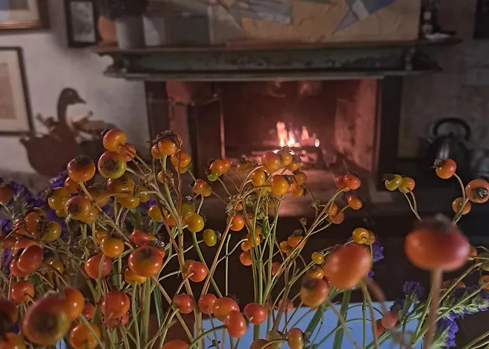 Bauernhof Casadesergio