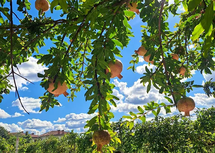 Casadesergio Bauernhof Refrontolo