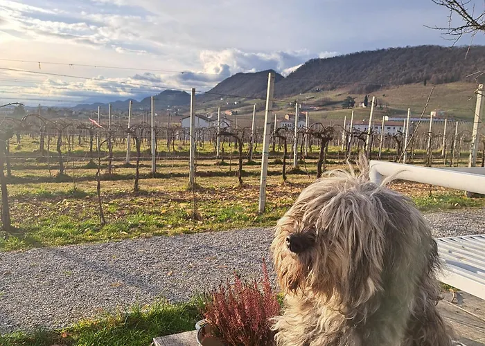 Casadesergio Refrontolo