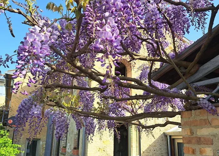 Casadesergio * Refrontolo