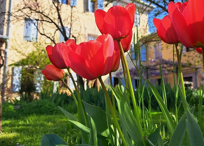 Bauernhof Casadesergio *