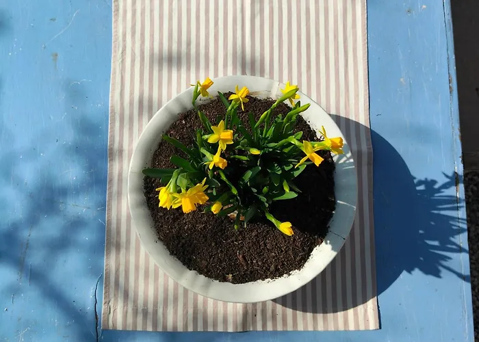 Bauernhof Casadesergio *